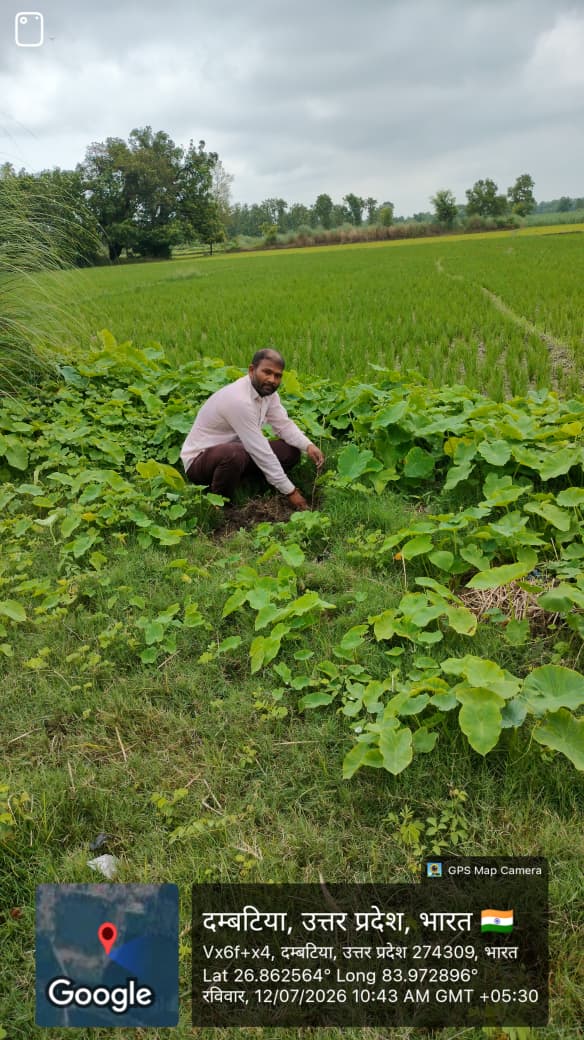 Medicinal Plant Drive