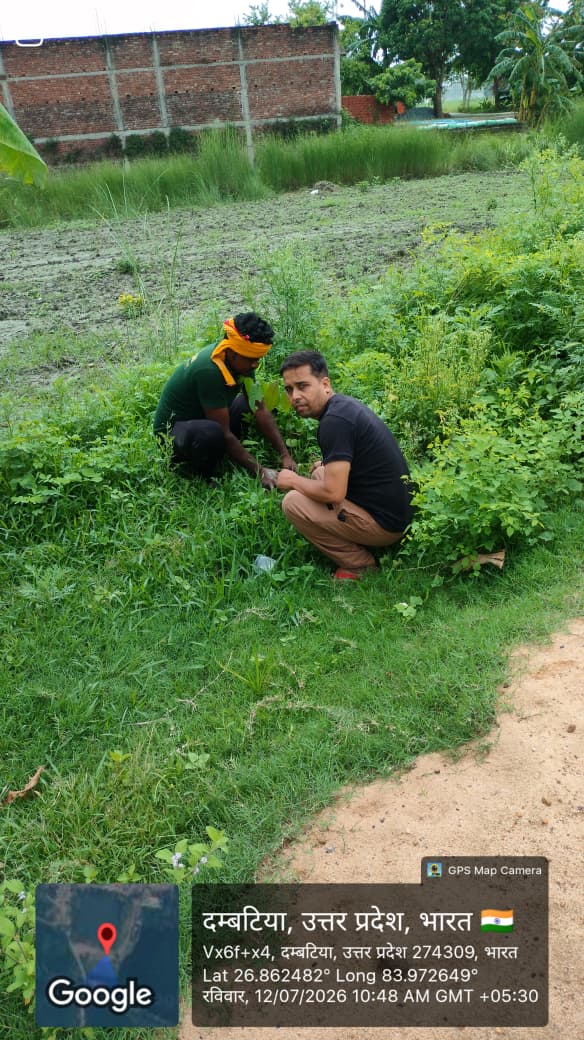 Community Tree Plantation